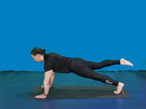 The Leg pull front (The Leg Pull-Down, Front Support)