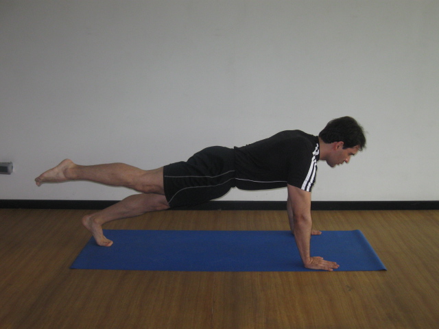 Planks With Hip Extension (Leg PulI Front Variation)